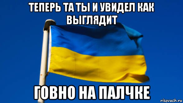 теперь та ты и увидел как выглядит говно на палчке, Мем Флаг Украины