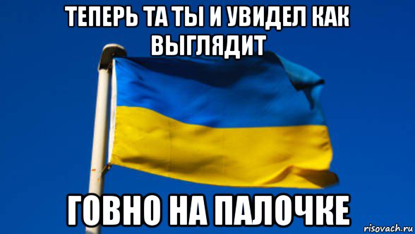 теперь та ты и увидел как выглядит говно на палочке, Мем Флаг Украины