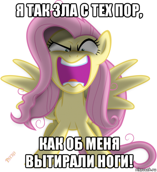 я так зла с тех пор, как об меня вытирали ноги!