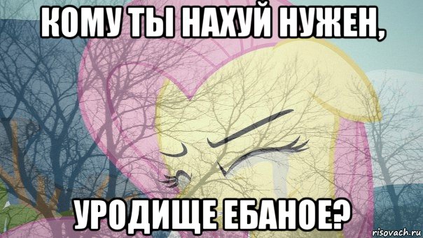 кому ты нахуй нужен, уродище ебаное?, Мем Флаттершай