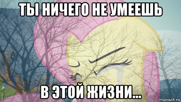 ты ничего не умеешь в этой жизни...