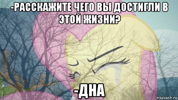 -расскажите чего вы достигли в этой жизни? -дна