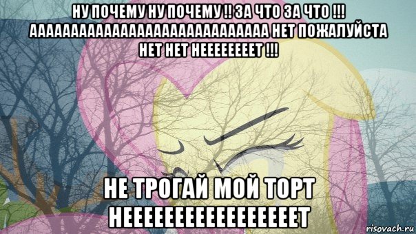 ну почему ну почему !! за что за что !!! ааааааааааааааааааааааааааааа нет пожалуйста нет нет неееееееет !!! не трогай мой торт нееееееееееееееееет