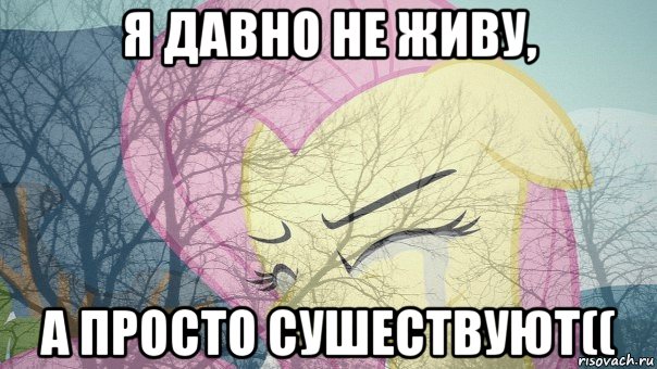 я давно не живу, а просто сушествуют((