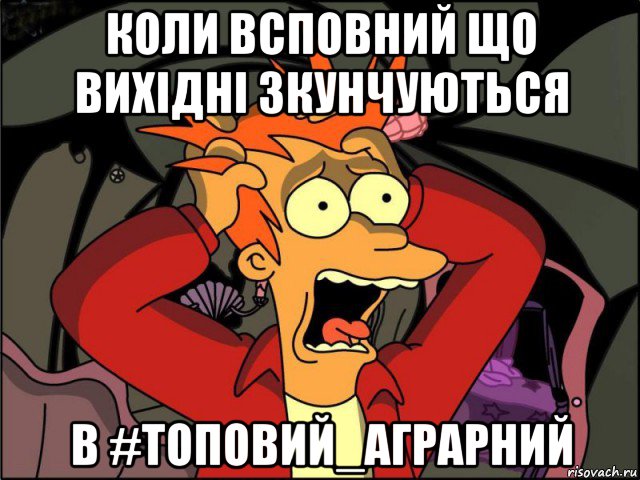 коли всповний що вихідні зкунчуються в #топовий_аграрний, Мем Фрай в панике