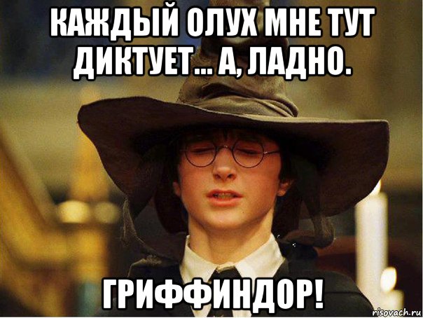 каждый олух мне тут диктует... а, ладно. гриффиндор!