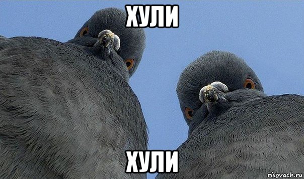 хули хули