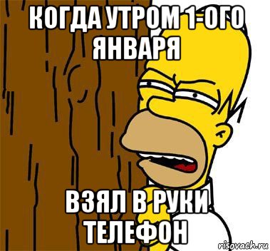 когда утром 1-ого января взял в руки телефон, Мем Гомер