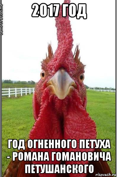 2017 год год огненного петуха - романа гомановича петушанского