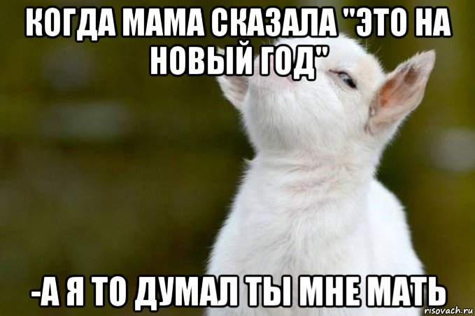 когда мама сказала "это на новый год" -а я то думал ты мне мать, Мем  Гордый козленок