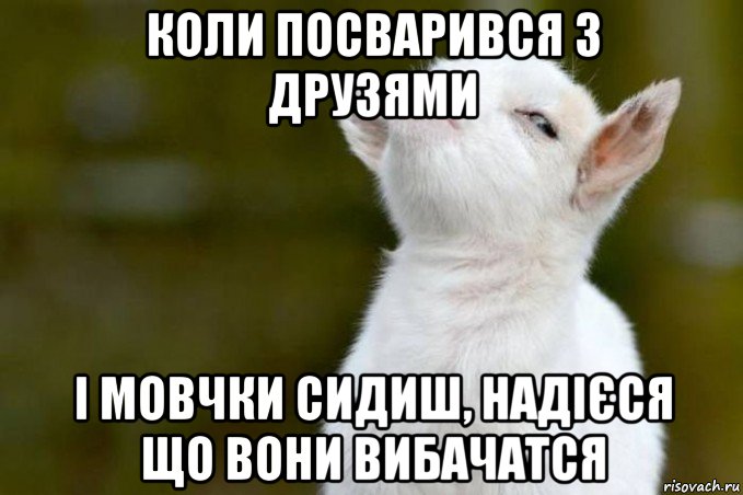 коли посварився з друзями і мовчки сидиш, надієся що вони вибачатся, Мем  Гордый козленок