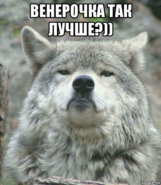 венерочка так лучше?)) , Мем    Гордый волк