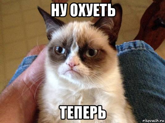 ну охуеть теперь, Мем grumpy