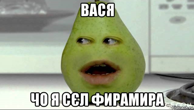 вася чо я сєл фирамира