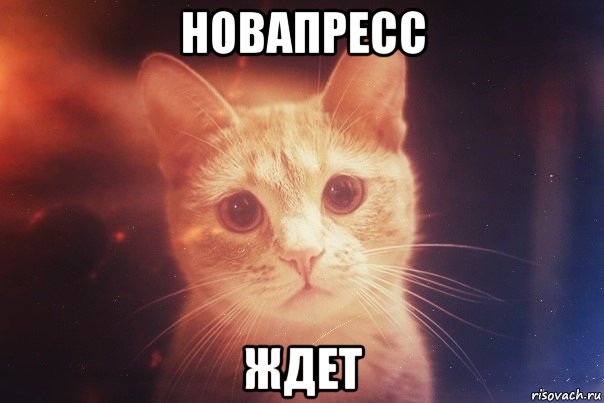 новапресс ждет