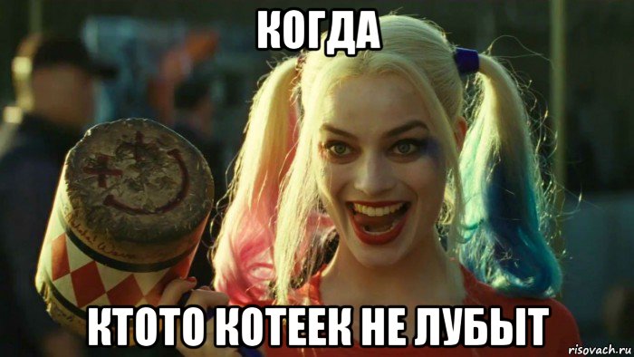 когда ктото котеек не лубыт, Мем    Harley quinn