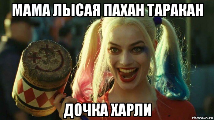 мама лысая пахан таракан дочка харли, Мем    Harley quinn