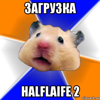 загрузка halflaife 2, Мем Хомяк