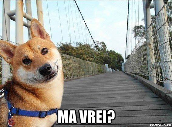  ma vrei?, Мем Хуйня
