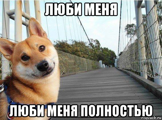 люби меня люби меня полностью, Мем Хуйня