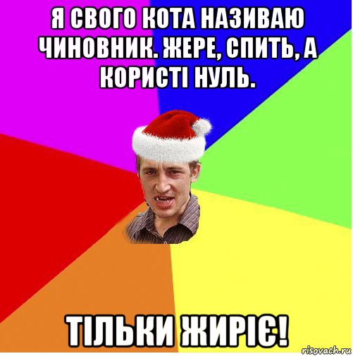 я свого кота називаю чиновник. жере, спить, а користі нуль. тільки жиріє!, Мем Новогодний паца