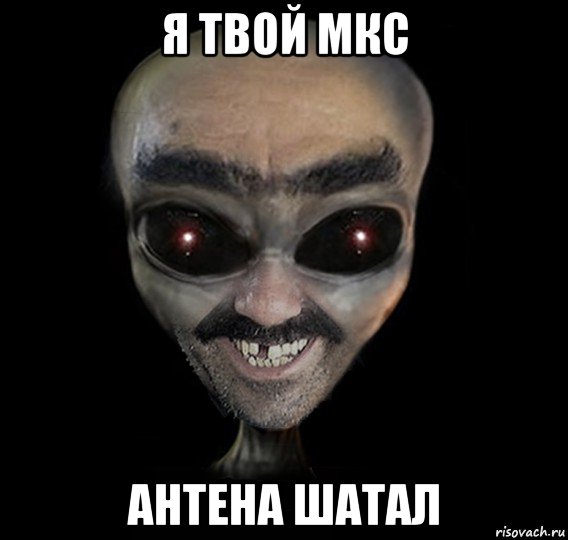 я твой мкс антена шатал
