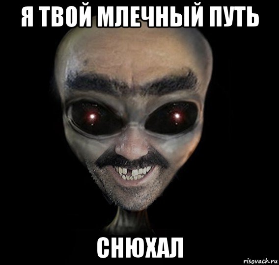 я твой млечный путь снюхал