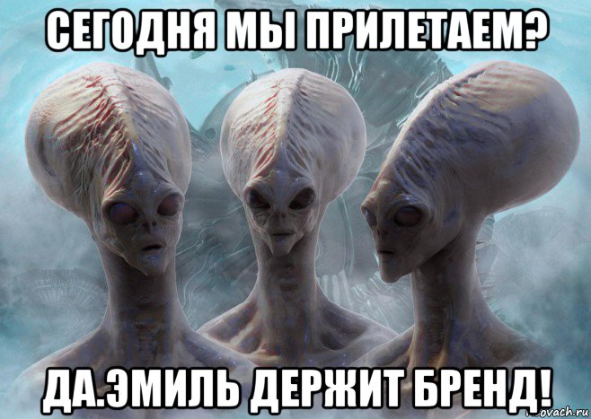 сегодня мы прилетаем? да.эмиль держит бренд!