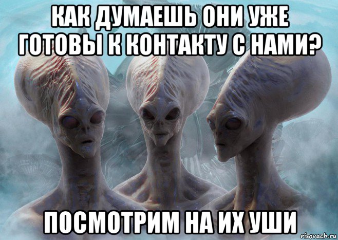 как думаешь они уже готовы к контакту с нами? посмотрим на их уши