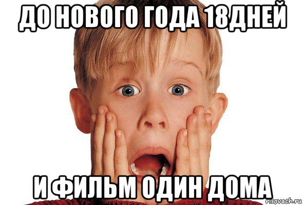 до нового года 18дней и фильм один дома