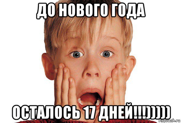до нового года осталось 17 дней!!!)))))