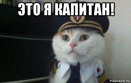 это я капитан! , Мем Капитан кот