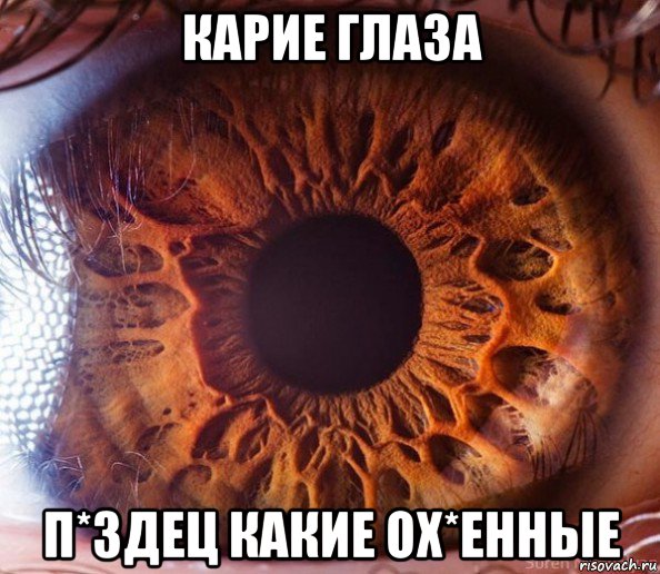 карие глаза п*здец какие ох*енные