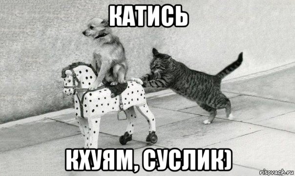 катись кхуям, суслик), Мем Катись к хуям