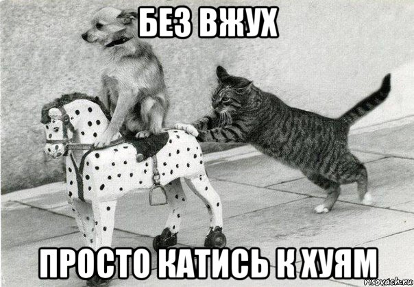 без вжух просто катись к хуям