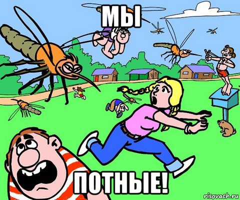 мы потные!