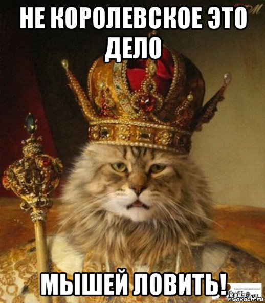 не королевское это дело мышей ловить!