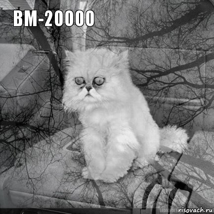 BM-20000         , Комикс  кот безысходность