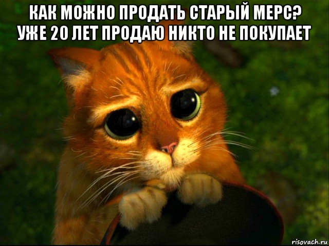 как можно продать старый мерс? уже 20 лет продаю никто не покупает , Мем кот из шрека