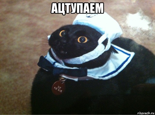 ацтупаем , Мем Кот-матрос