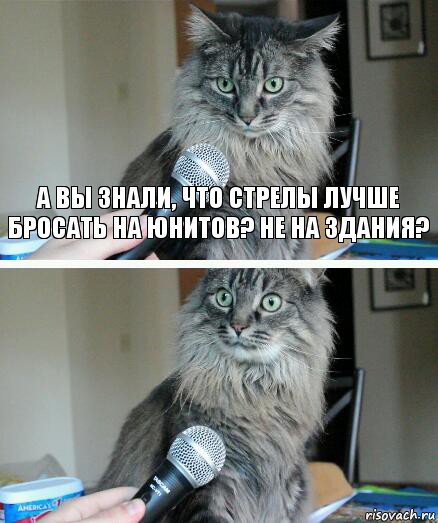 а вы знали, что стрелы лучше бросать на юнитов? Не на здания? , Комикс  кот с микрофоном