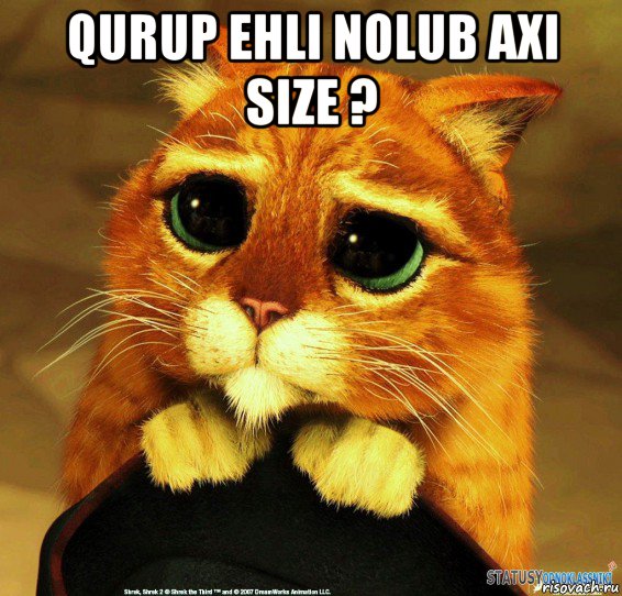 qurup ehli nolub axi size ? , Мем Котик из Шрека