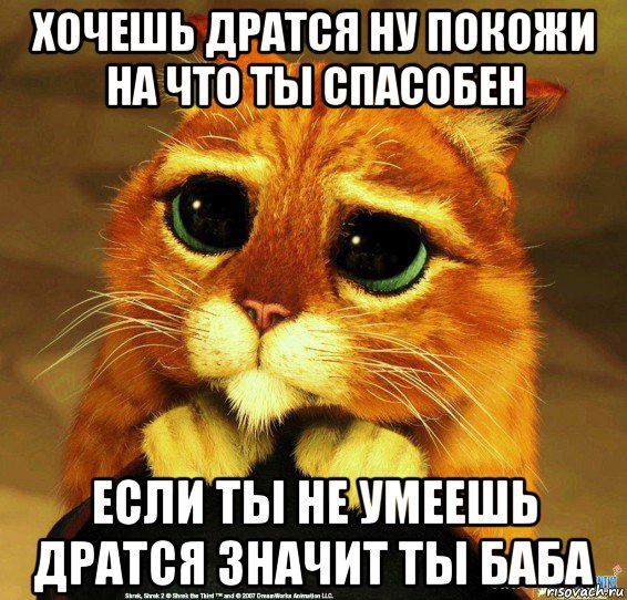 хочешь дратся ну покожи на что ты спасобен если ты не умеешь дратся значит ты баба, Мем Котик из Шрека