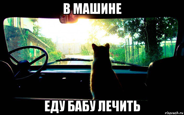 в машине еду бабу лечить, Мем кот в машине