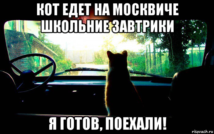 кот едет на москвиче школьние завтрики я готов, поехали!, Мем кот в машине