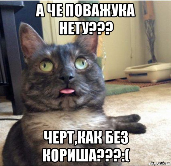 а че поважука нету??? черт,как без кориша???:(, Мем   Кот завис