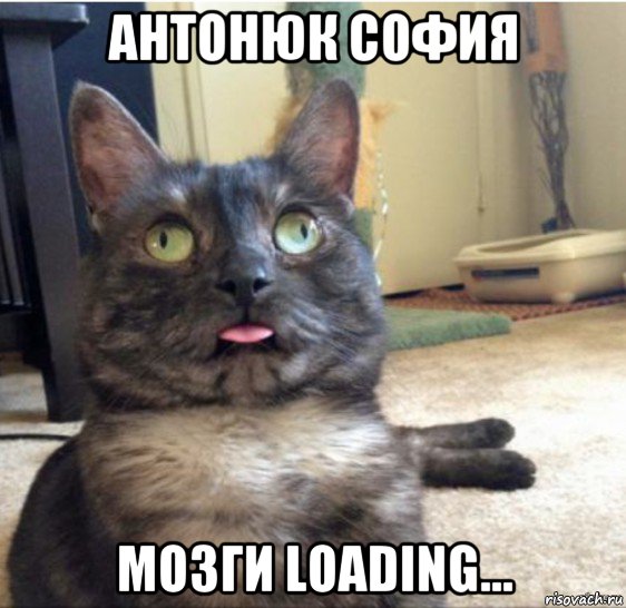 антонюк софия мозги loading..., Мем   Кот завис