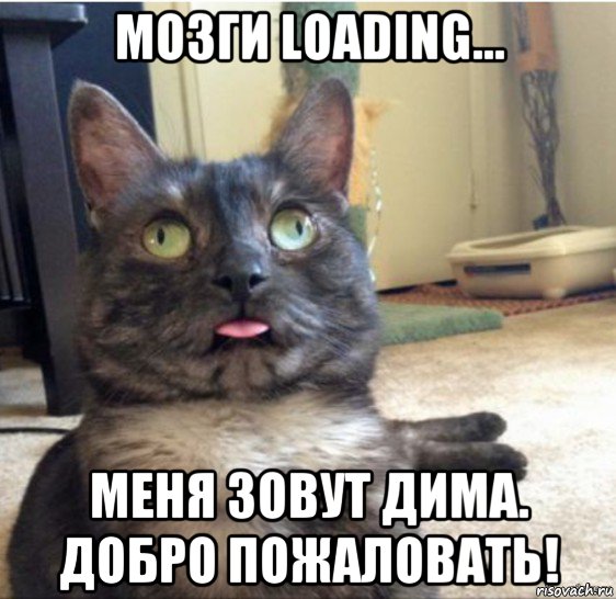 мозги loading... меня зовут дима. добро пожаловать!, Мем   Кот завис