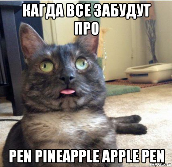 кагда все забудут про pen pineapple apple pen, Мем   Кот завис