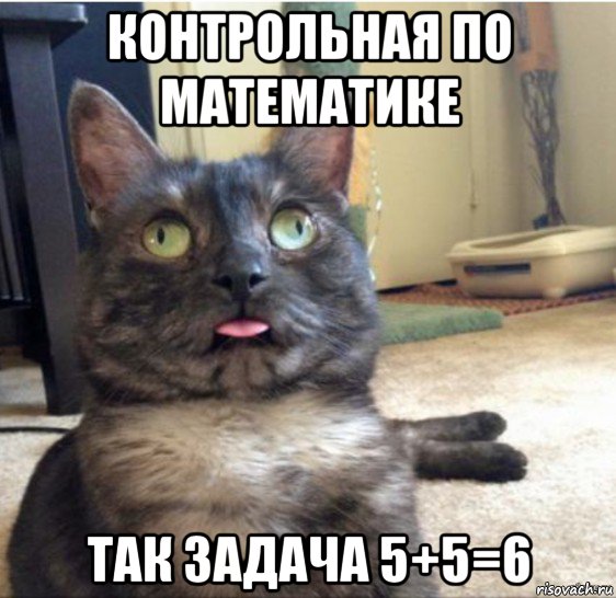 контрольная по математике так задача 5+5=6, Мем   Кот завис